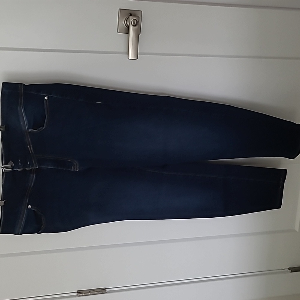 Lane Bryant Stretch 3 Button Jeggings. Size 16P.